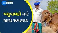 પશુપાલકોને રક્ષાબંધન ફળી! બનાસ ડેરીએ ભાવ વધારા સાથે જાહેર કર્યો ચોખ્ખો નફો