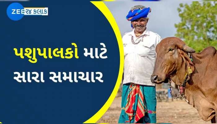 પશુપાલકોને રક્ષાબંધન ફળી! બનાસ ડેરીએ ભાવ વધારા સાથે જાહેર કર્યો ચોખ્ખો નફો