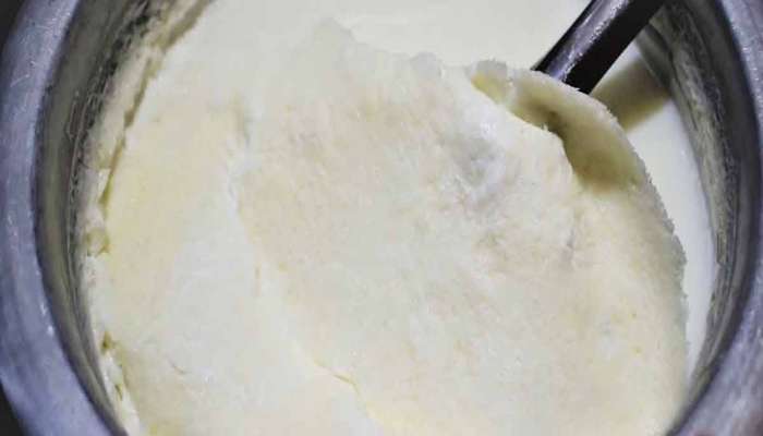 Thick Malai: આ ટીપ્સ ફોલો કરશો તો રોજ દૂધ પર જામશે જાડી મલાઈ, ઘી પણ થાશે વધારે