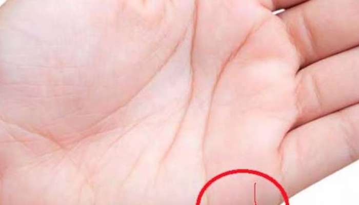 લફરાં અને બ્રેકઅપ સહિત લવ લાઈફના બધા જ સીક્રેટ ખોલશે હથેળીની આ રેખા, જાણો લગ્ન વિશે