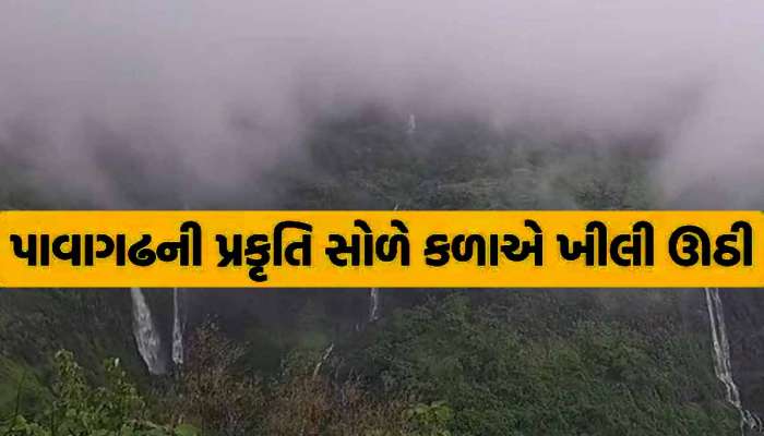 સ્વર્ગને પણ ભુલાવી દે એવો નજારો! વાદળોથી ઢંકાયેલો ડુંગર, ગુજરાતમાં અહીં સોળે કળાએ ખીલી પ્રકૃતિ