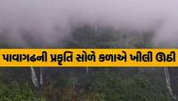 સ્વર્ગને પણ ભુલાવી દે એવો નજારો! વાદળોથી ઢંકાયેલો ડુંગર, અહીં સોળે કળાએ ખીલી પ્રકૃતિ