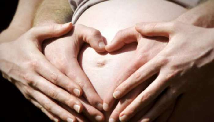 Pregnancy Tips: પ્રેગ્નન્સી દરમિયાન ભૂલથી પણ ન ખાઓ આ ફળો, થઈ શકે છે ભારે નુકસાન