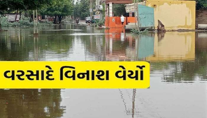  મચ્છુએ ફરી મોરબીમાં મોટી તારાજી સર્જી! આ તાલુકાના એક-બે નહીં 30 ગામનો વાળ્યો સત્યનાશ!