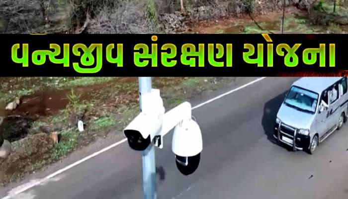 ગુજરાતમાં અહીં ગાડીની સ્પીડ 30થી વધારે કરી તો ડ્રાઈવરને તુરંત આવશે એલર્ટ, મોનિટરિંગ સિસ્ટમ ગોઠવાઈ
