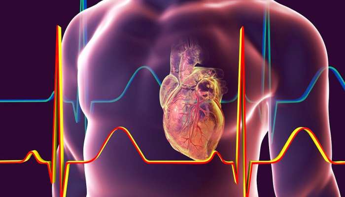 Heart Attack: રાત્રે દેખાય છે હાર્ટ એટેકના આ 4 લક્ષણો, આ તકલીફોને ઈગ્નોર કરવાની ભૂલ ન કરતા ક્યારેય