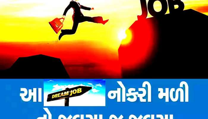 અમદાવાદ નહીં ગુજરાતના આ શાનદાર શહેરમાં જ કરાય નોકરી! દરેક કામમાં મળે છે સૌથી ઉંચો પગાર