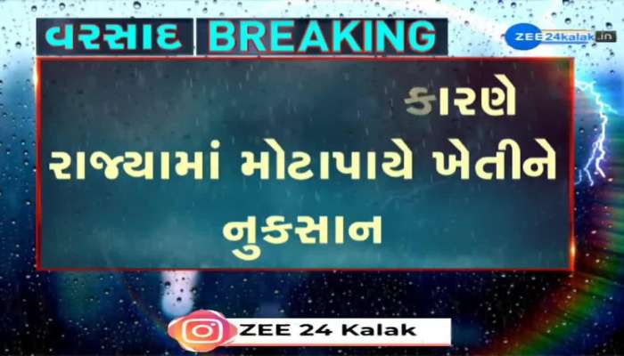 ભારે વરસાદના કારણે રાજ્યમાં મોટાપાયે ખેતીને નુકસાન, અંદાજે 4 હજાર જેટલા ગામોમાં ખેતીને નુકસાન...