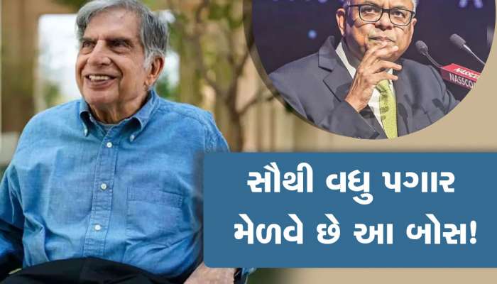 ભારતમાં સૌથી વધુ પગાર મેળવતા બોસ: સરકારી શાળામાં ભણ્યા, ખેતરમાં કામ કર્યું... હવે મહિનાનો 11.30 કરોડ રૂપિયા પગાર