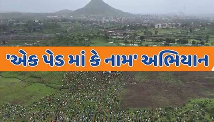 કૃદરતના પ્રકોપથી શાન ઠેકાણે! હરીયાળું ગુજરાત બનાવવા 17 કરોડ વૃક્ષોનો ટાર્ગેટ મૂકાયો! 