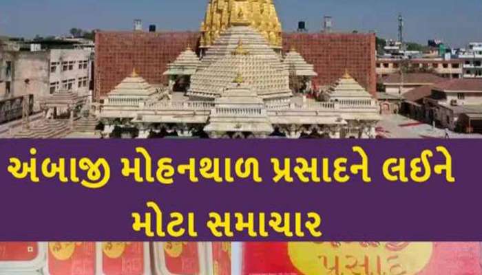 'બોલ માડી અંબે જય જય અંબે', માઈ ભક્તો તૈયાર! મોહનથાળનો પ્રસાદને લઈને એક મહત્વપૂર્ણ સમાચાર