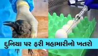કોરોનાથી માંડ છુટકારો મળ્યો, ત્યાં હવે આ દેશમાં આવ્યો ખતરનાક પ્રકારનો વાયરસ 