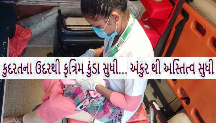 માનવતા મરી પરવારી! પાપ, ઘેલછા, નિષ્કાળજી અને ક્રૂરતા સામે પુણ્યાઈ, કાળજી, સંવેદના અને સતર્કતા જીતી