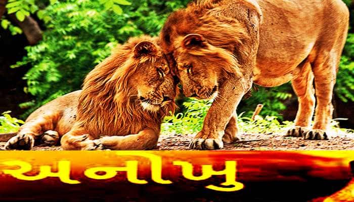 જો આ ચાર સ્થળો ના જોયા હોય તો તમે ના કહેવાવ પાક્કા ગુજરાતી! ફરવા માટે છે સૌથી બેસ્ટ