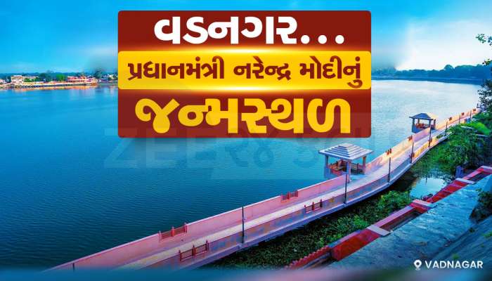 જાદુના પિટારા જેવું ગુજરાતનું વડનગર : ઐતિહાસિક અને સાંસ્કૃતિક વારસાને ધરબી બેઠું છે!