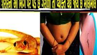 સ્ત્રીઓના આ અંગ પર ગરોળી પડે તો સાત પેઢી કરે રાજ! જાણો શુકનશાસ્ત્ર