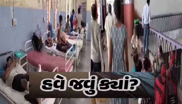 શું તમને ખબર છે? ભાદરવા મહિનામાં લોકોનો નબળો પડે છે ઈમ્યુનિટી પાવર, આ જીવલેણ રોગનો છે ખતરો