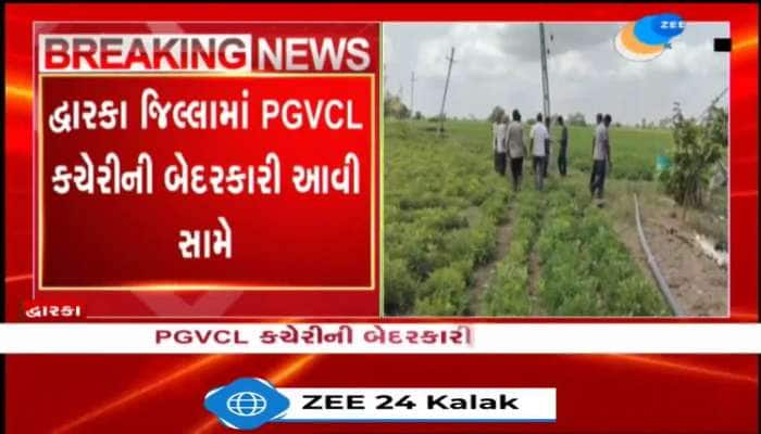 દ્વારકા જિલ્લામાં PGVCL કચેરીની બેદરકારી આવી સામે, ખંભાળિયા તાલુકાના ગ્રામ્ય વિસ્તારમાં વીજ ધાંધિયા...