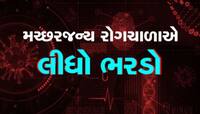 વરસાદ પછી વકર્યો રોગચાળો! સુરતમાં તાવમાં સપડાયા બાદ બે લોકોના મોત