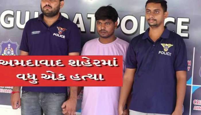 ‘જર, જમીન અને જોરુ ત્રણેય કજિયાના છોરું’ આખરે એવું જ થયું...નસરીન બાનું કેસમાં મોટો ઘટસ્ફોટ