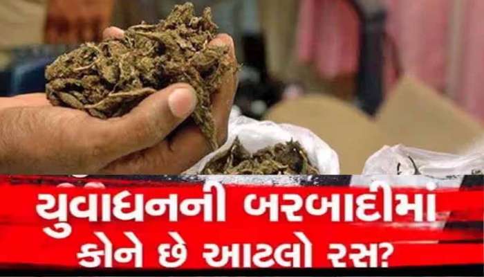 નશાના સોદાગરો પાસેથી ફરી ઝડપાયો ગાંજાનો મોટો જથ્થો! આ રીતે આણંદમાં થયો કાળી કરતૂતોનો પર્દાફાશ