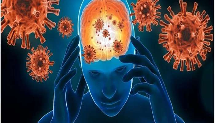 Deadly Virus: ડાયરેક્ટ મગજ પર એટેક કરે છે આ 5 જીવલેણ વાયરસ, પાંચમો વાયરસ સૌથી ખતરનાક