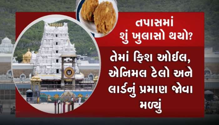 તિરુપતિ મંદિરમાં કેવી રીતે બને છે પ્રસાદ? એક લાડુની કિંમત કેટલી? કેટલી થાય છે કમાણી
