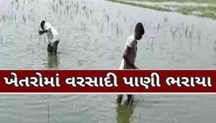 આજે 25 દિવસ થયા છતાં આ જિલ્લાના ગામડામાં ઓસર્યા નથી વરસાદી પાણી, કરોડોનું નુકસાન