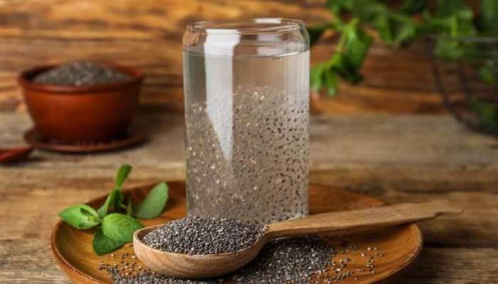 Chia Seeds Benefits: ચિયા સીડ્સનું પાણી પીવાના છે આ ફાયદા, સ્વાસ્થ્ય રહેશે ફિટ