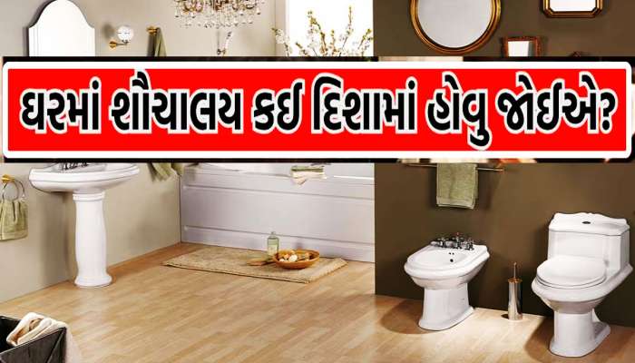 ઘરની આ દિશામાં બનેલું ટોયલેટ નથી થવા દેતું તમારી પ્રગતિ! ઘરમાં ઘર કરી જાય છે બીમારીઓ