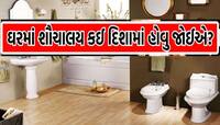 ઘરની આ દિશામાં બનેલું ટોયલેટ નથી થવા દેતું પ્રગતિ! ઘરમાં ઘર કરી જાય છે બીમારીઓ