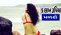અમીર છોકરીઓને ગર્ભવતી બનાવવાની જાહેરાતથી મચ્યો હડકંપ! 5 લાખ આપવાનો કરાયો દાવો