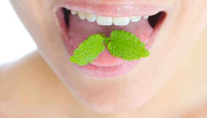 મોં ની દુર્ગંધ દૂર કરશે આ 5 Natural Mouth Freshener! કરશે બીજા અનેક ફાયદા