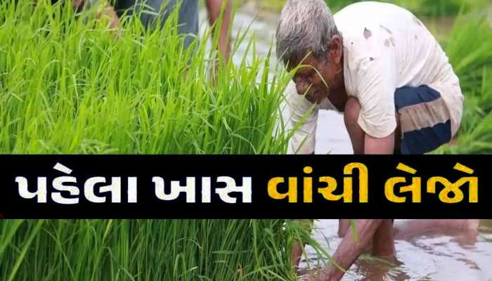 જાણી લેજો, ફાયદામાં રહેશો! ગુજરાત સરકારનો વધુ એક ખેડૂત હિતલક્ષી મહત્વપૂર્ણ નિર્ણય