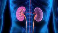 kidney health: આ 5 આદતોથી કિડની થઈ શકે છે ખરાબ, શું તમે પણ નથી કરી રહ્યાને આ ભૂલો?