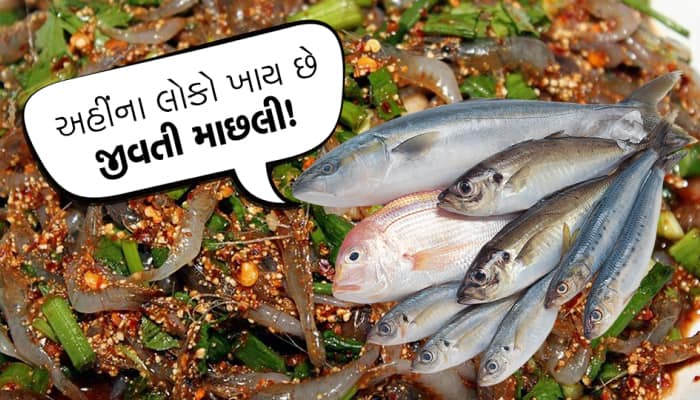 આ જગ્યા પર લોકો ખાય છે જીવતી માછલી!, જાણો શું છે આ સ્પેશિયલ ડીશનું નામ