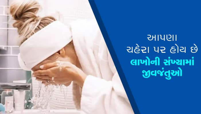 ચહેરા પર મોટી સંખ્યામાં હોય છે જીવજંતુ, એક્સપર્ટે કહ્યું- સવારે ચહેરો ધોવો જોઇએ