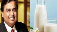 Mukesh Ambani:અંબાણીના ઘરે જે ગાયનું દૂધ આવે છે એ ગાયોને પણ જલસા છે, આવી મળે સુવિધાઓ