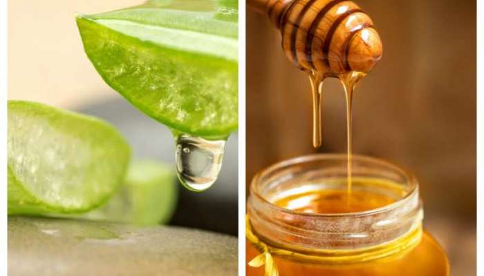 Honey Vs Aloe Vera: મધ કે એલોવેરા, તમારી ત્વચા માટે શું છે વધારે બેસ્ટ? જાણો