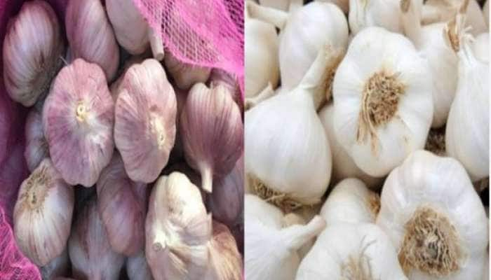 Chinese vs Desi Garlic: ચાઈનીઝ લસણ અને દેશી લસણ વચ્ચે કેવી રીતે કરવો તફાવત, શું છે ફાયદા અને ગેરફાયદા