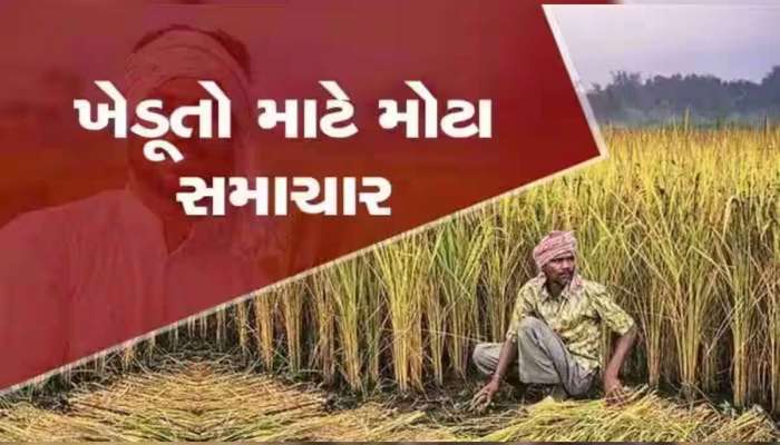 ગુજરાતના ખેડૂતોની દિવાળી સુધરી, સરકાર ટેકાના ભાવે ખરીદશે ત્રણ પાક