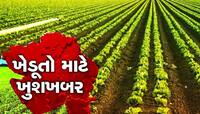 ખેડૂતો માટે ખુશખબર! મગફળી, અડદ અને સોયાબીન ખરીદશે સરકાર, જાણો ભાવ અને વિગતો