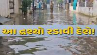 વડોદરાને વારંવાર ડૂબાડનારી 'સિસ્ટમ' કઈ? જાણો કોના પાપે ડૂબે છે આ શહેર?