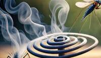 Mosquito Coil: જે આ વાત જાણે તે ઘરમાં ક્યારેય ન સળગાવે મચ્છરની અગરબત્તી, તમે પણ જાણો