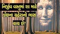 નિર્જીવ વસ્તુઓમાં શા માટે દેખાય છે માણસોનો ચહેરો? કુદરતની કમાલ નહિ મગજની કરામત છે!
