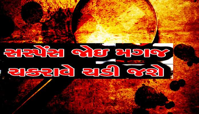 અબ્બાસ-મસ્તાનની થ્રીલર ફિલ્મને પણ ટક્કર મારે એવો 4 વર્ષ જૂનો કેસ અમદાવાદ ક્રાઈમ બ્રાંચે ઉકેલ્યો!