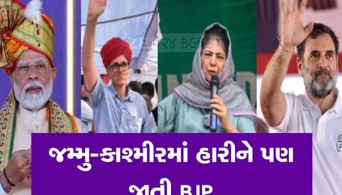 જમ્મુ-કાશ્મીરમાં ચૂંટણી હારીને પણ ભાજપે કરી દીધો કમાલ, આ મામલે NCને પાછળ છોડીને બનાવ્યો રેકોર્ડ