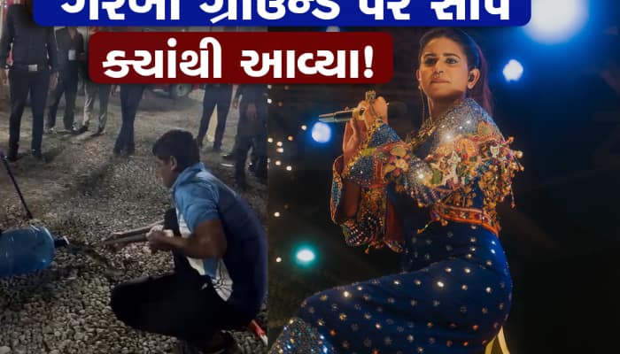 કિંજલ દવેના ગરબા ગ્રાઉન્ડ પરથી ઉપરાઉપરી નીકળ્યા 2 સાપ, સ્ટેજની આસપાસ ફરતા હતા  