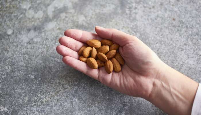 Almonds: રોજ એક મુઠ્ઠી બદામ ખાવાથી શું થશે? જાણો આમ કરવું સારું છે કે ખરાબ