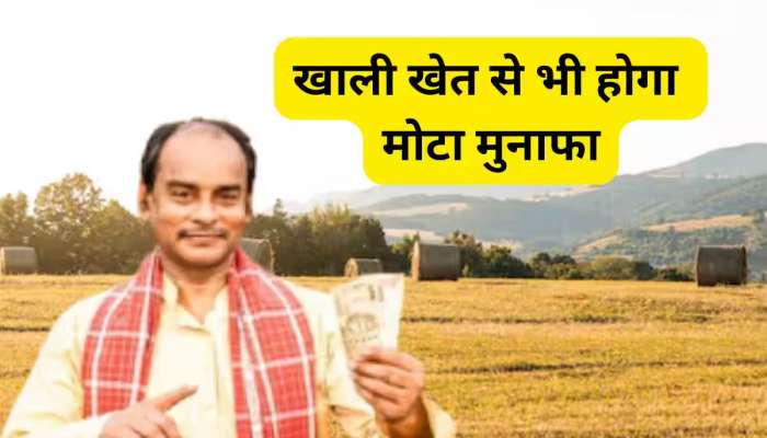 હવે ખાલી ખેતર પણ કરાવશે મોટી કમાણી, સરકાર આપશે 50 ટકા સબસીડી, જલ્દી ઉઠાવો ફાયદો 